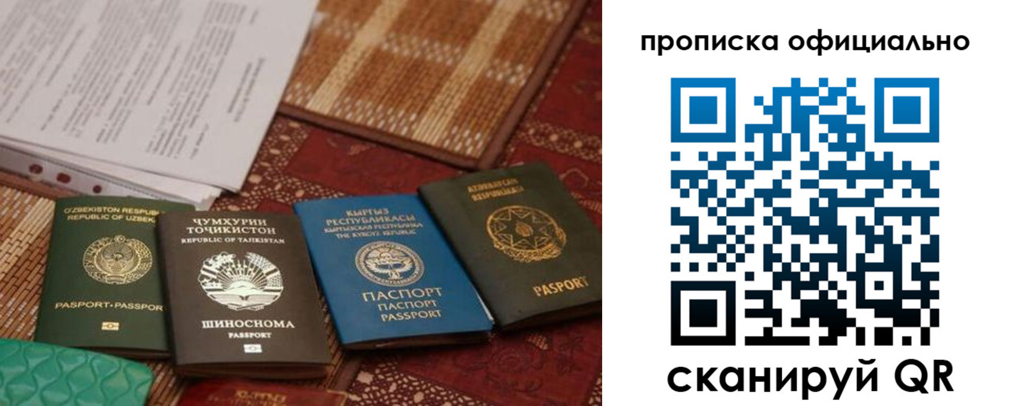 где прописаться в Вязьме
